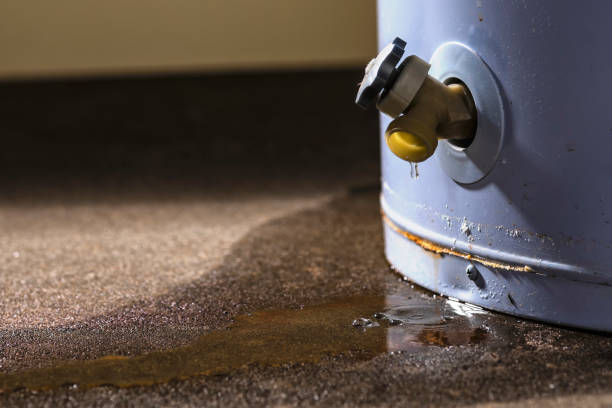 Best Flood damage cleanup  in Keansburg, NJ