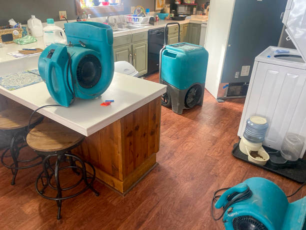 Best Local water damage restoration  in Keansburg, NJ