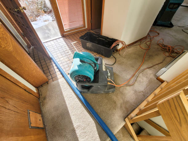 Best Commercial water damage restoration  in Keansburg, NJ