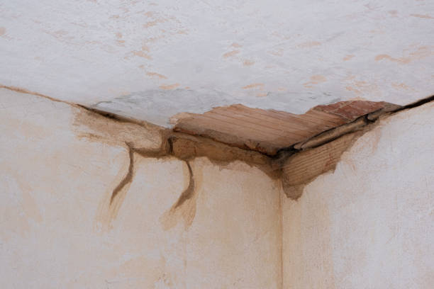 Best Water damage restoration experts  in Keansburg, NJ