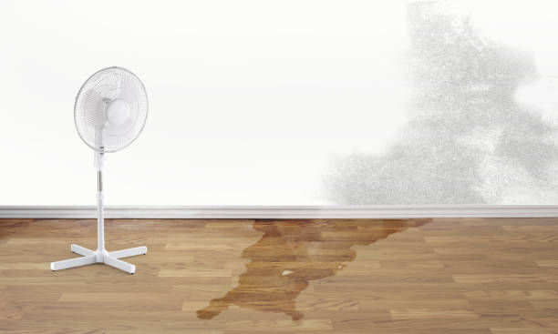 Best 24/7 water damage repair  in Keansburg, NJ